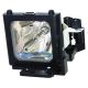 small_image_label-100062-2