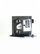 EC.J5600.001 Projector Lamp for ACER XD1160Z