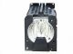 SP.81416.001 Projector Lamp for CTX EZ 710