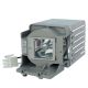 BL-FU190C / PQ484-2401 Projector Lamp for OPTOMA DX313