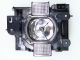 base_image_label-101273-66342M