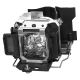 small_image_label-101412-66406
