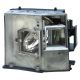 BL-FU250D / SP.81D01.001 Projector Lamp for OPTOMA THEMESCENE H57