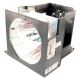 ET-LAD7700L Projector Lamp for PANASONIC PT-DW7700