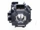 base_image_label-101929-58832M