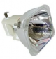 ZU1201 04 4010 Projector Lamp for LIESEGANG DDV 2000
