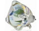 MVLMPAX1460 Projector Lamp for MEDIAVISION AX1460