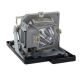 OPTOMA DAEXUSN Original Inside Projector Lamp - Replaces BL-FP180D / DE.5811116037-S