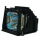 456-8768 Projector Lamp for DUKANE ImagePro 8768