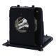 OPTOMA THEMESCENE H78 Original Inside Projector Lamp - Replaces BL-FU250E / SP.L3703.001
