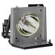 EC.J1001.001 Projector Lamp for ACER PD523