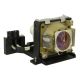 59.J8401.CG1 Simply Value Lamp for BENQ PB7110
