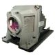 NP13LP / 60002853 Projector Lamp for NEC NP215
