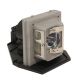 OPTOMA TX776 Original Inside Projector Lamp - Replaces BL-FP280B / SP.88E01GC01