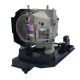 BL-FP230G / SP.8JQ01GC01 Projector Lamp for OPTOMA TX565UTi-3D