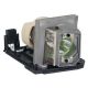 BL-FP230F / SP.8JA01GC01 / 23.8BW15G004 Projector Lamp for OPTOMA EW610ST-EDU