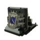 BL-FP330C / SP.8JN08GC01 Projector Lamp for OPTOMA TH7500-NL