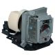 ACER DSV0812 Projector Lamp