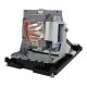 VIVITEK D967-BK Original Inside Projector Lamp - Replaces 5811118436-SVV