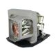 OPTOMA VDHDNUE Original Inside Projector Lamp - Replaces BL-FU190E / SP.8VC01GC01