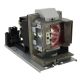 5811118924-SVV Projector Lamp for VIVITEK D867