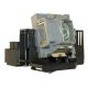 DELTA DP 3636 Projector Lamp