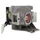 BENQ HT2150ST Original Inside Projector Lamp - Replaces 5J.JEE05.001