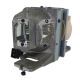 OPTOMA DAEHHZZ+ Original Inside Projector Lamp - Replaces BL-FP220B / SP.78B01GC01