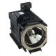SONY SRX-T615 (330w) Projector Lamp