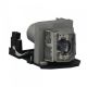 BL-FP195B / SP.79C01GC01 Projector Lamp for OPTOMA GT1080Darbee