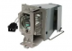 MC.JN811.001 Projector Lamp for ACER X115