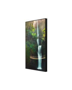 Hisense 55WH80E 55” Window Facing - High Brightness Display