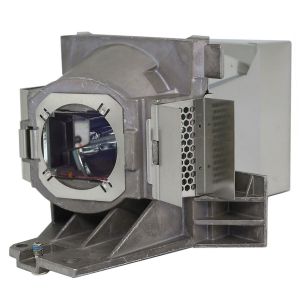 base_image_label-302230-OI67337