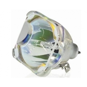 Simply Value Lamp for the SAHARA PROTECTOR XGA