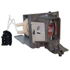 base_image_label-302442-OI65023