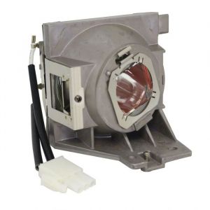 Original Inside lamp for VIEWSONIC PS501W projector - Replaces RLC-109